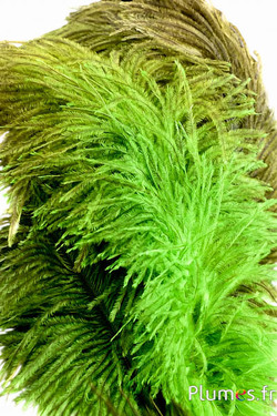 Strauss - 30-40 cm - naturgrau-limettengrün
